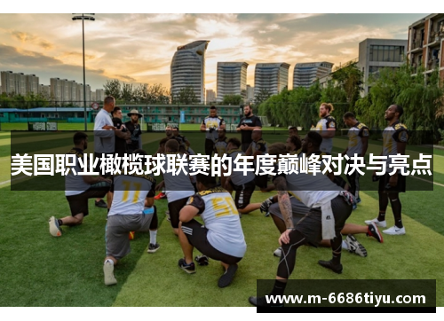 美国职业橄榄球联赛的年度巅峰对决与亮点